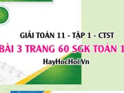Giải bài 3 trang 60 Toán 11 tập 1 SGK Chân trời sáng tạo